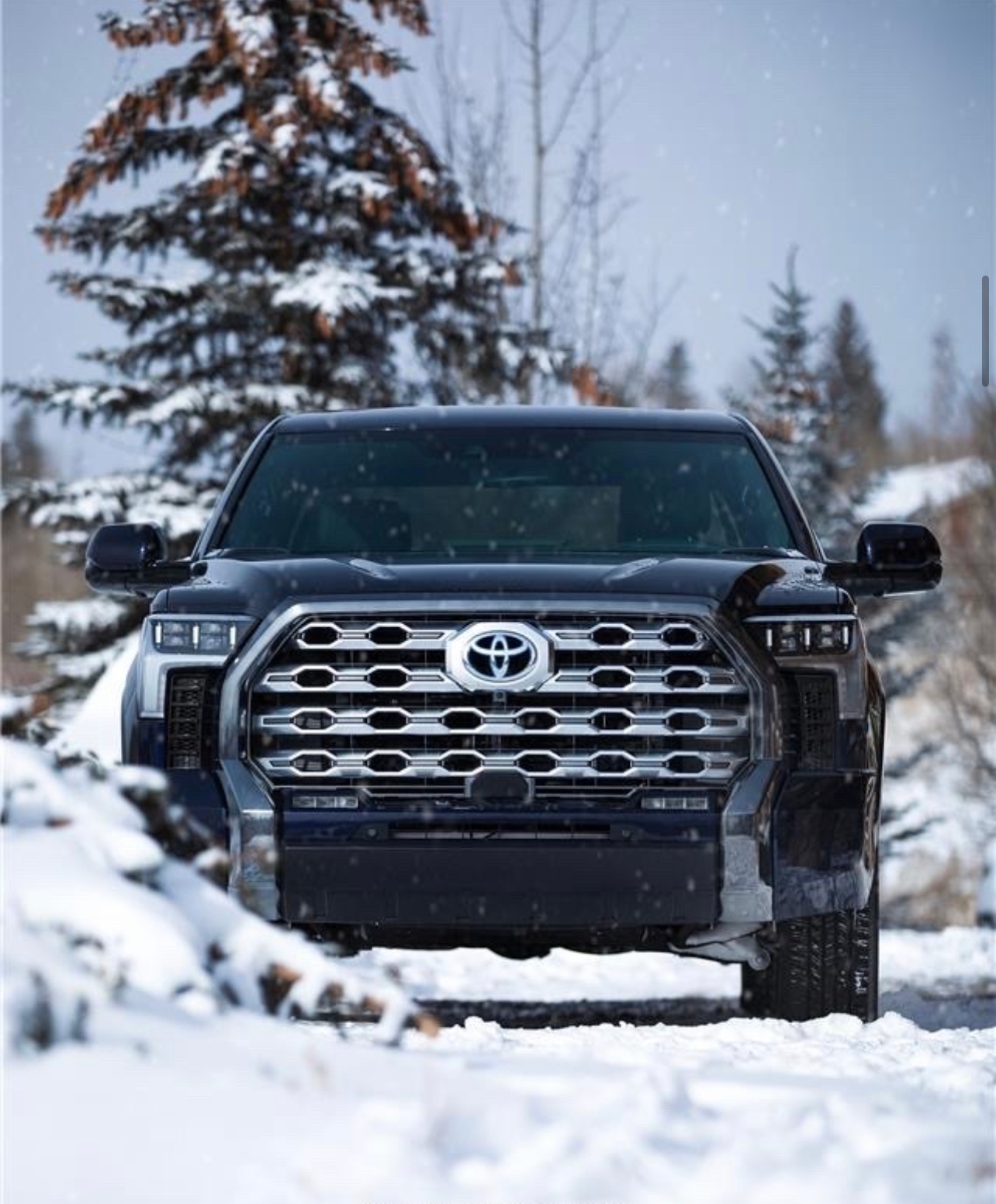 Tundra front on